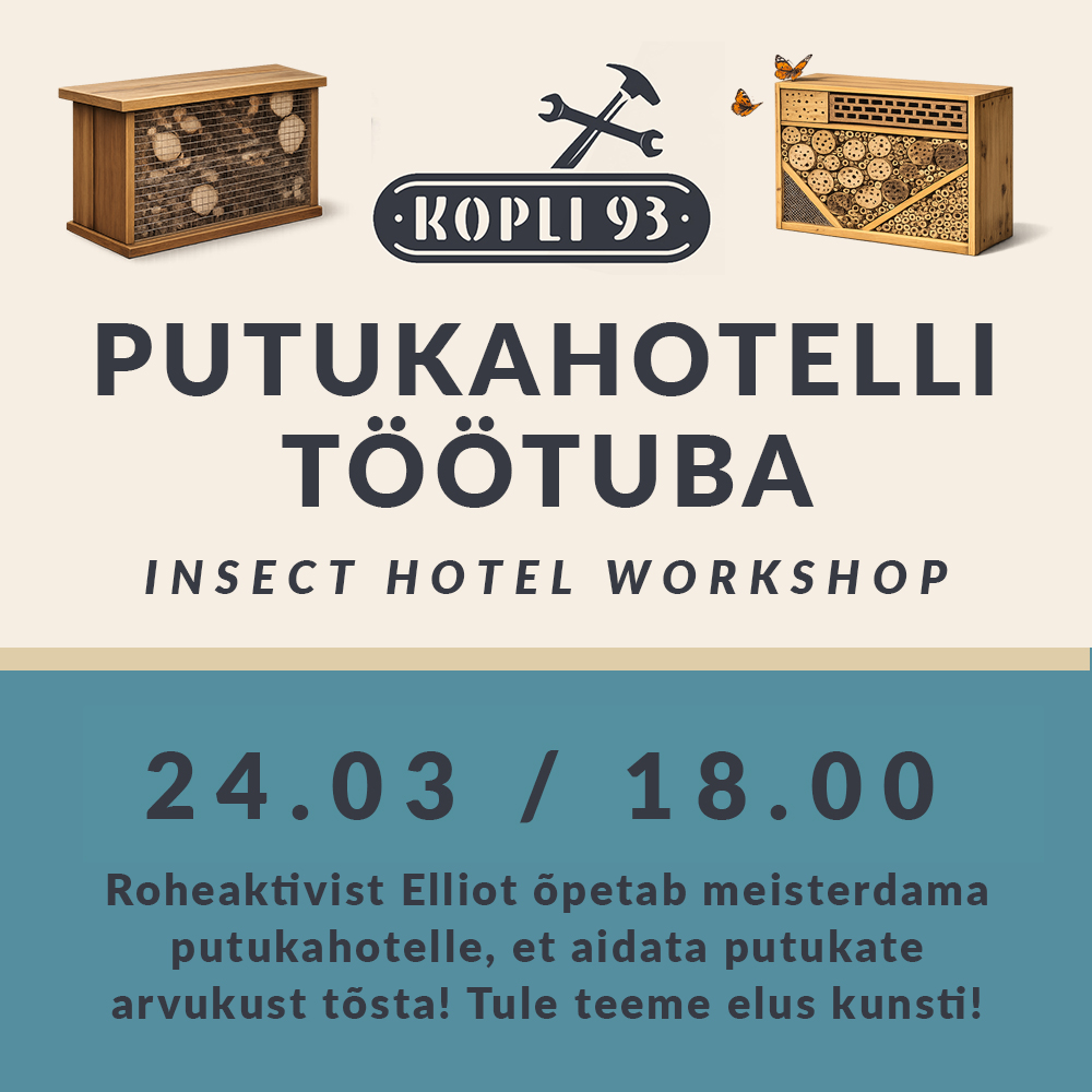 Putukahotelli töötuba