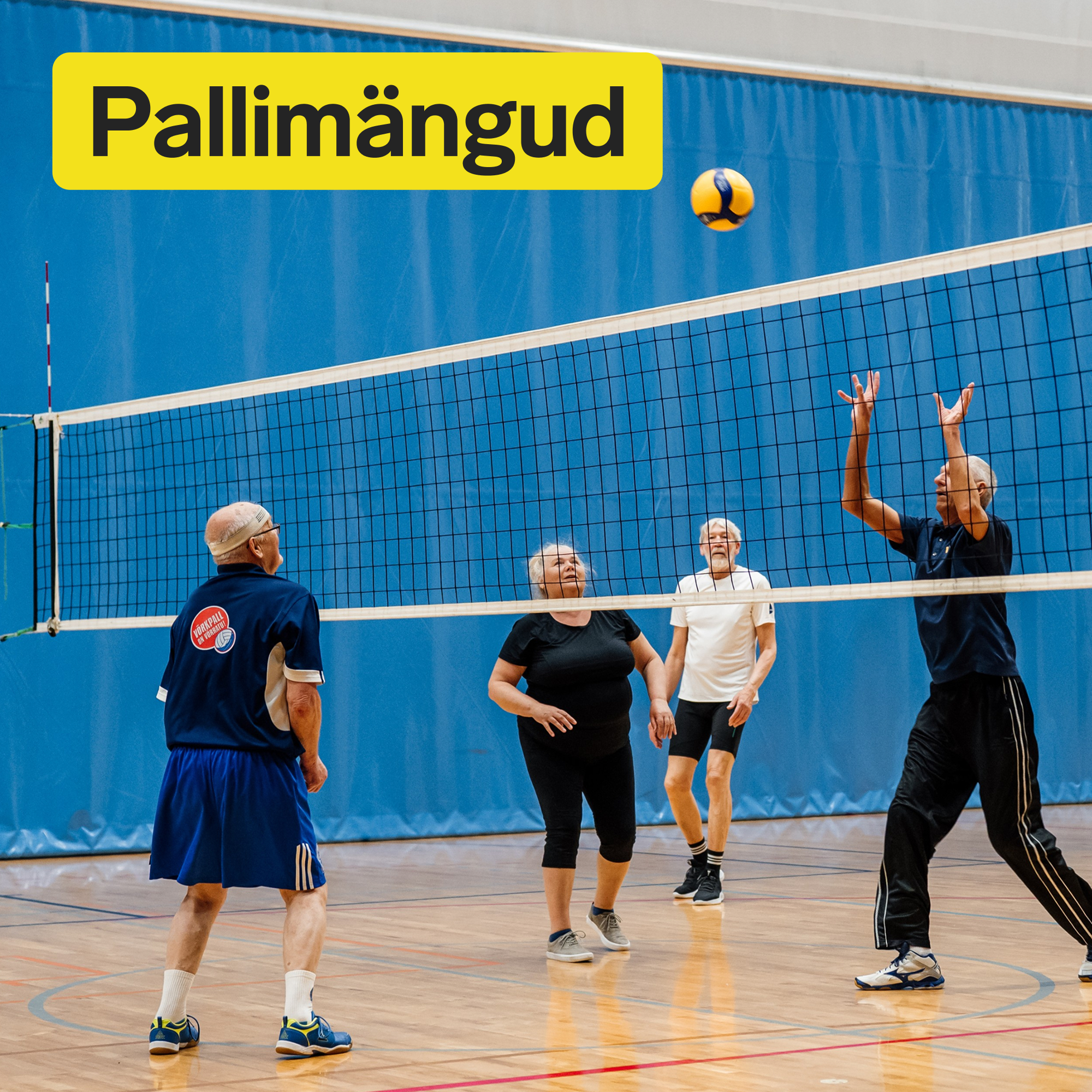 Korvpall Siili Spordihoone